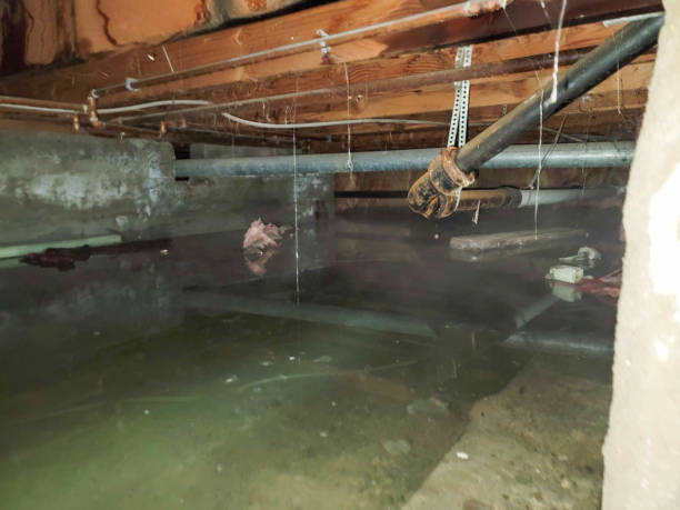Best Sewage cleanup and water damage restoration  in Lynden, WA