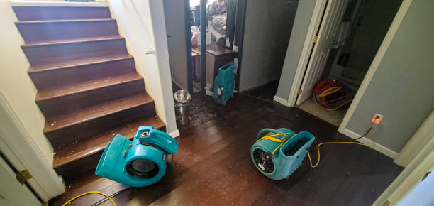 Best Mold removal after water damage  in Lynden, WA