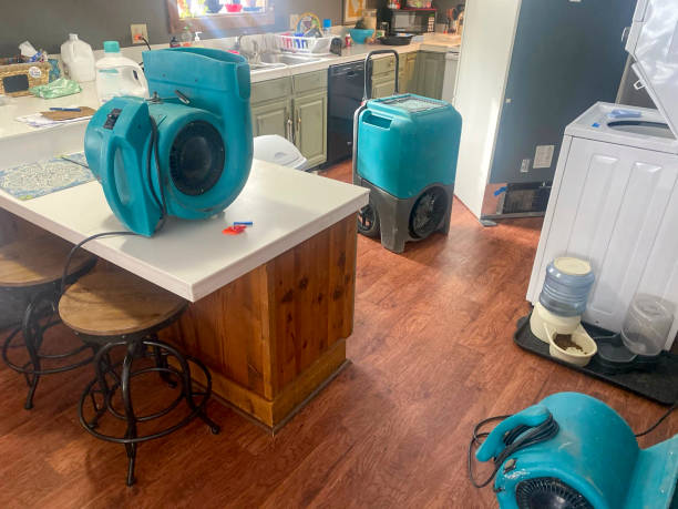 Best Professional water damage repair  in Lynden, WA