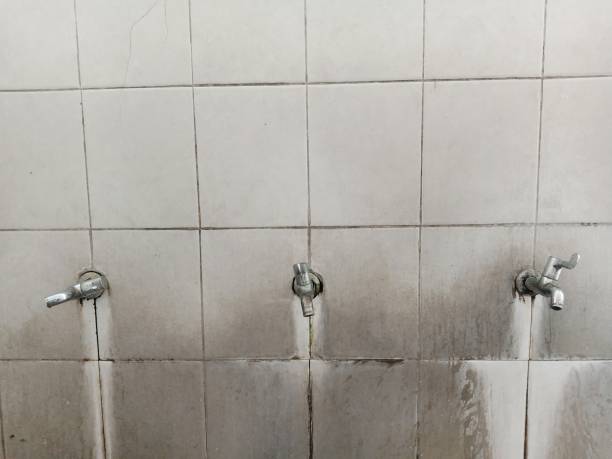Best Water damage cleanup near me  in Lynden, WA