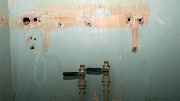 Best Water damage restoration cost  in Lynden, WA